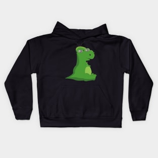 Dinosaur Nerd Glasses Design Kids Hoodie